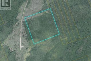 Land for Sale, 50 Acres Route 117, Hardwicke, NB