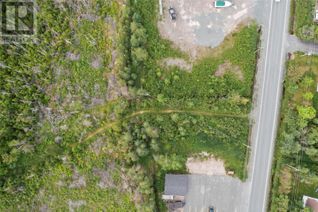 Land for Sale, 32 Salmonier Line, HOLYROOD, NL