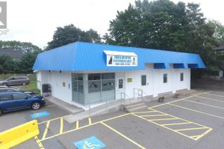 Non-Franchise Business for Sale, 190 Water Street, Shelburne, NS