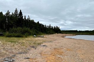 Land for Sale, 0 Park Road, Howley, NL