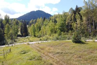 Land for Sale, 270 Richie Road, Rossland, BC