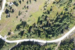 Commercial Land for Sale, 270 Richie Road, Rossland, BC