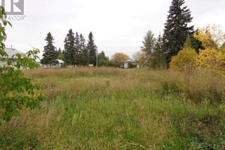 Commercial Land for Sale, 4910 49 Avenue, Rimbey, AB