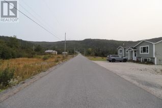 Land for Sale, 2 Hollands Memorial, Norris Point, NL