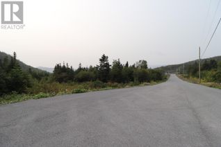 Commercial Land for Sale, 22 Hollands Memorial Drive, Norris Point, NL