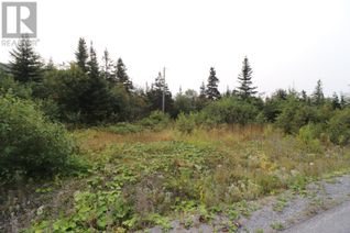 Land for Sale, 6 Hollands Memorial Drive, Norris Point, NL