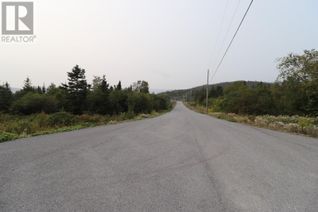 Land for Sale, 8 Hollands Memorial, Norris Point, NL