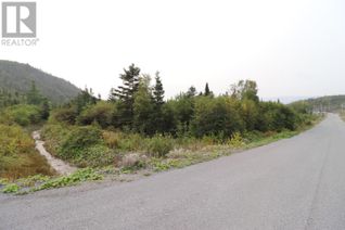 Commercial Land for Sale, 14 Hollands Memorial, Norris Point, NL