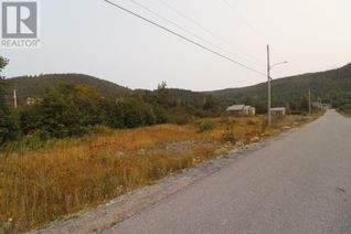 Commercial Land for Sale, 7 Hollands Memorial, Norris Point, NL