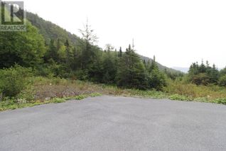 Land for Sale, 16 Hollands Memorial, Norris Point, NL