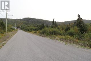 Commercial Land for Sale, 18 Hollands Memorial, Norris Point, NL