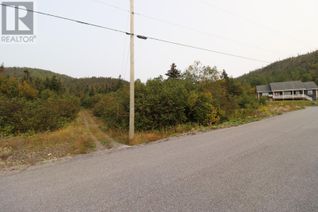 Land for Sale, 15 Hollands Memorial, Norris Point, NL