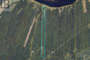 Land for Sale, 33 Hec Route 420, Red Bank, NB