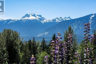 Land for Sale, 9 Proposed Lot #9 150 Townley Street, Revelstoke, BC