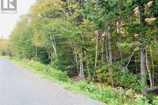 Commercial Land for Sale, 85-42 Bunker Hill Road, Wilsons Beach, NB