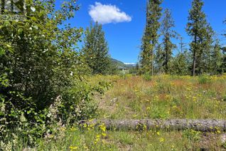 Land for Sale, 3479 Mabel Lake Place, Enderby, BC