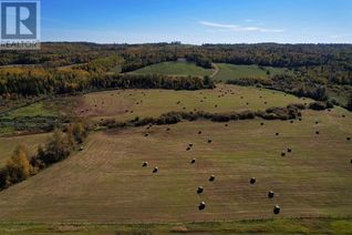 Land for Sale, Lot 3, 105059 Township Road 585b, Rural Woodlands County, AB