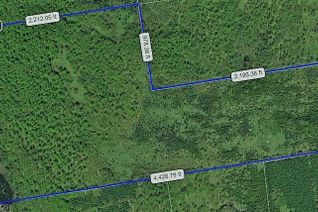 Commercial Land for Sale, Pt Lt 14 Concession 5, Chatsworth, ON
