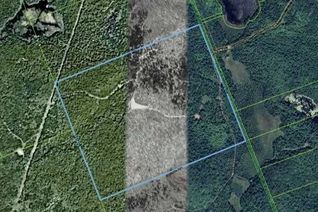 Vacant Residential Land for Sale, 435 Pastwa Lake Rd, South Algonquin, ON