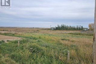 Land for Sale, 244059 Range Road 245, Rural Wheatland County, AB