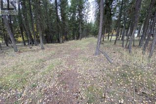 Commercial Land for Sale, 4896 Gloinnzun Drive, 108 Mile Ranch, BC