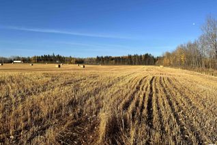 Land for Sale, Hwy 22 (Sw-21-49-7-W5), Drayton Valley, AB
