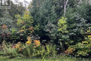 Land for Sale, 4 Shore Road, Southampton, ON