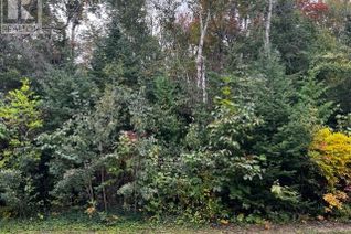 Land for Sale, 3 Shore Road, Southampton, ON