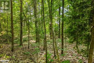 Commercial Land for Sale, Lot 47 Trout Lane, Tiny, ON