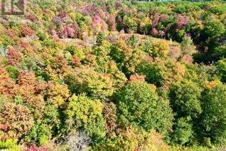 Commercial Land for Sale, 0 Acton Island Road, Muskoka Lakes, ON