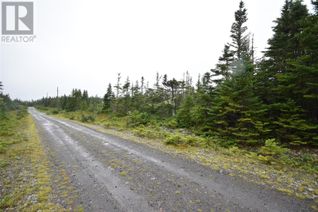 Commercial Land for Sale, Lot 29 Salmonier Line, Holyrood, NL