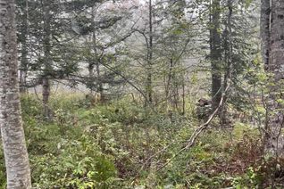 Commercial Land for Sale, Onslow Mountain Road, Onslow Mountain, NS