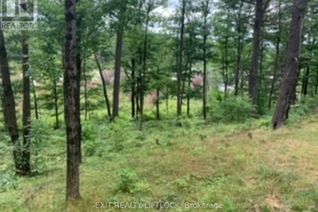 Commercial Land for Sale, 1541 Blue Heron Ridge, Central Frontenac, ON