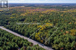 Commercial Land for Sale, 4 & 6 County Rd 40 N, Douro-Dummer, ON