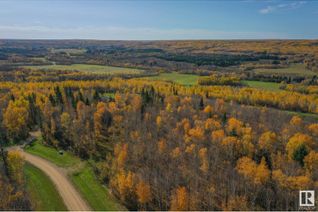 Commercial Land for Sale, 22 654036 Rge Rd 222, Rural Athabasca County, AB