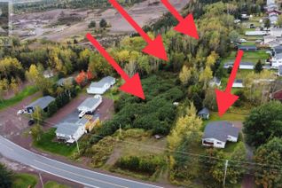 Property for Sale, 167 Main Street, Northern Arm, NL