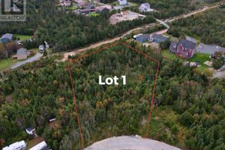 Property for Sale, 0 Beaver Pond Road #Lot 1, Cape Broyle, NL
