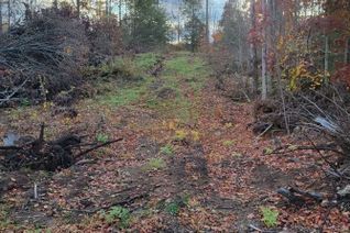 Vacant Residential Land for Sale, N/A Black River Rd N, Tweed, ON