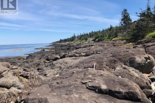 Land for Sale, No. 217 Highway, Waterford, NS