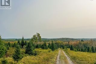 Land for Sale, Lot 1 Smith Road, Pleasant River, NS