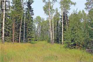 Commercial Land for Sale, 5 Ridgeland, Rural Clearwater County, AB