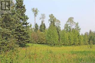 Property for Sale, 4 Forest, Rural Clearwater County, AB