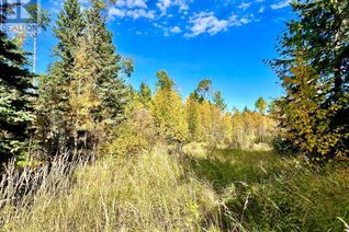 Commercial Land for Sale, 4 Forrest Close, Rural Clearwater County, AB