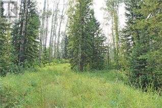 Land for Sale, 5 Sandhills, Rural Clearwater County, AB