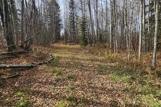 Commercial Land for Sale, 195055 Township Road 665a, Rural Athabasca County, AB