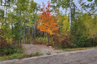 Land for Sale, 14 Birch St, Manitowaning, ON