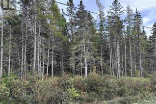 Commercial Land for Sale, Point View Road, Louisdale, NS