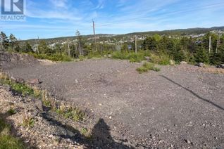 Property for Sale, 38 Main Road, Lewins Cove, NL