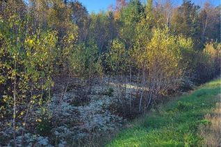 Property for Sale, Lot 93-2 Route 105, Jemseg, NB