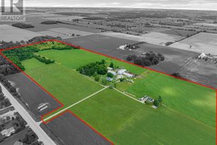Commercial Farm for Sale, 3114-3116 County Road 11, Essex, ON